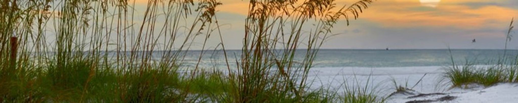 Cover photo for Frances M. Dockray's Obituary