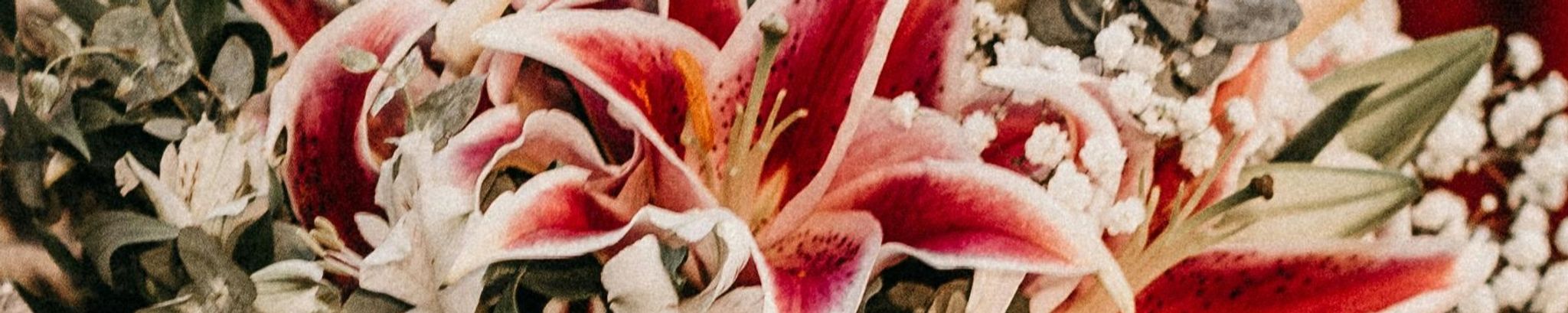 Cover photo for Audrey J. Tate's Obituary