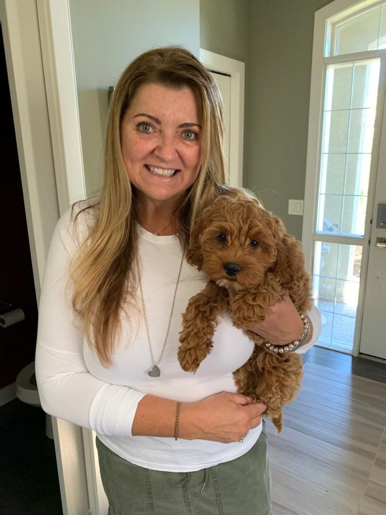 Nanci Brodt Profile Photo