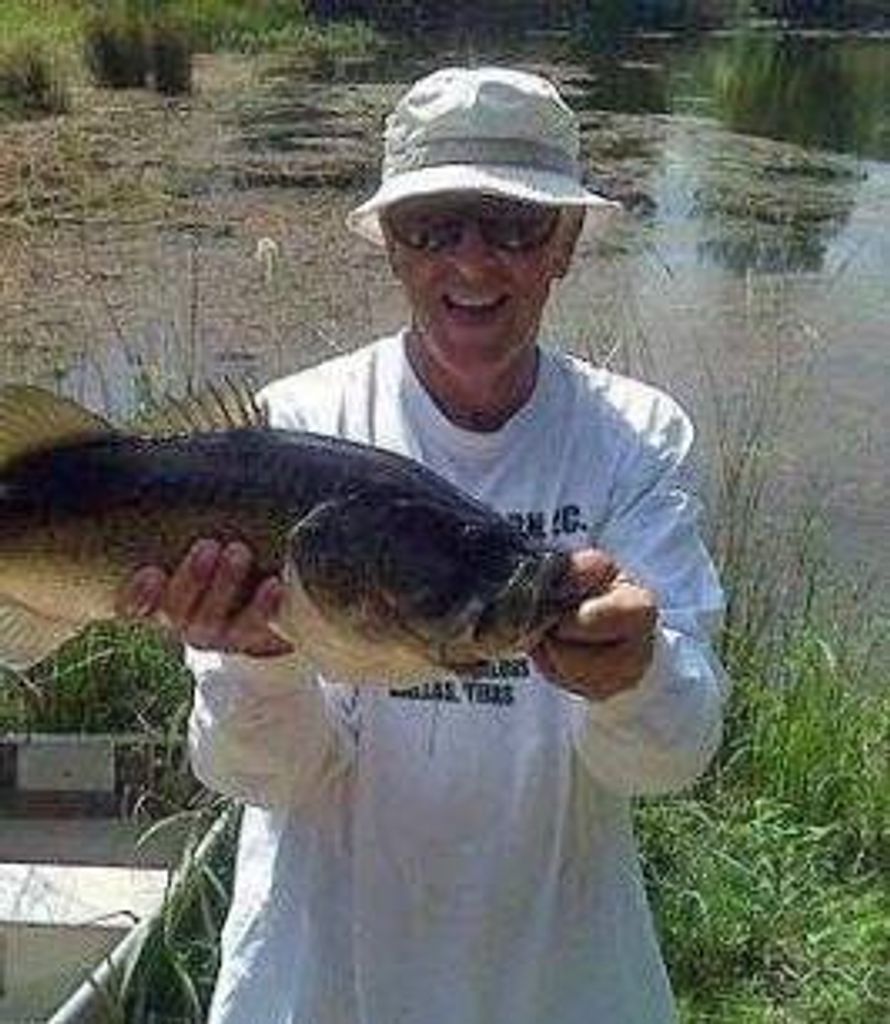 Steve Schifani Profile Photo