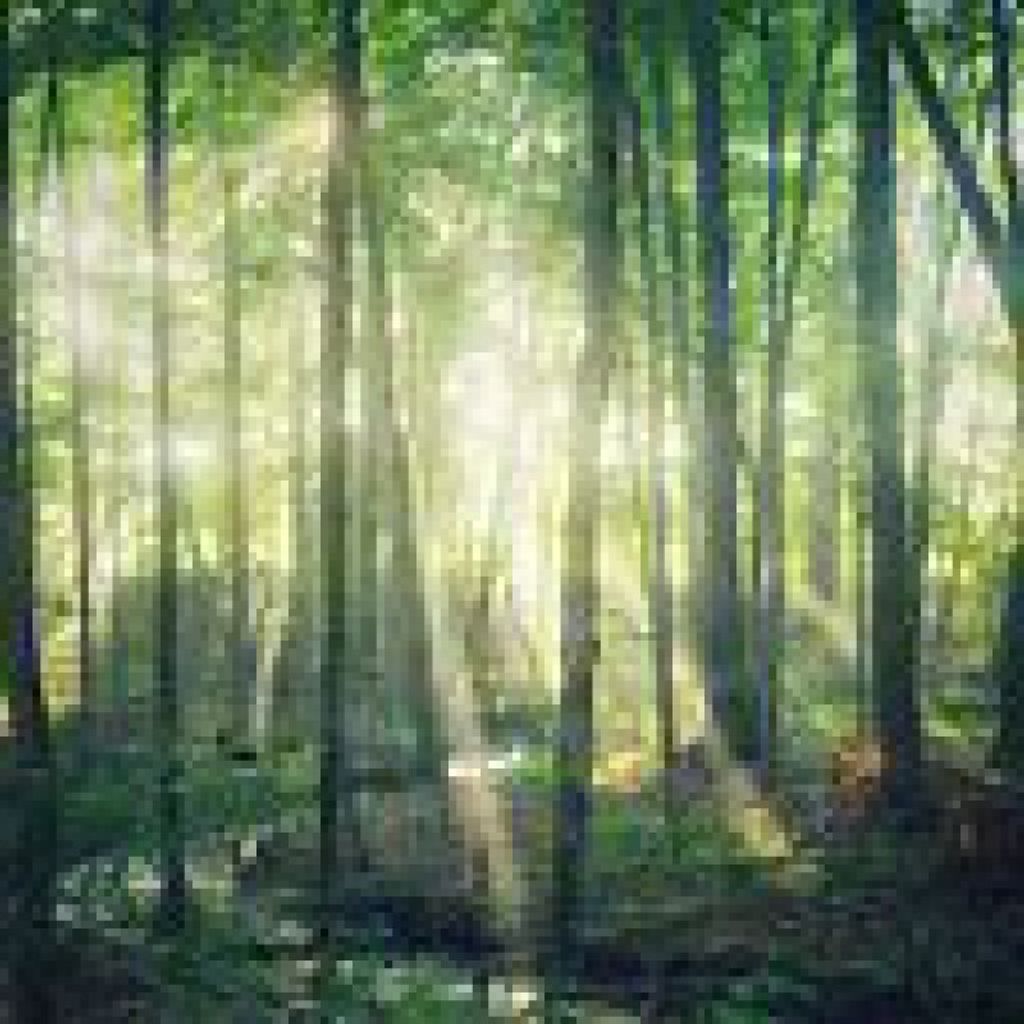 Christopher Teague Profile Photo