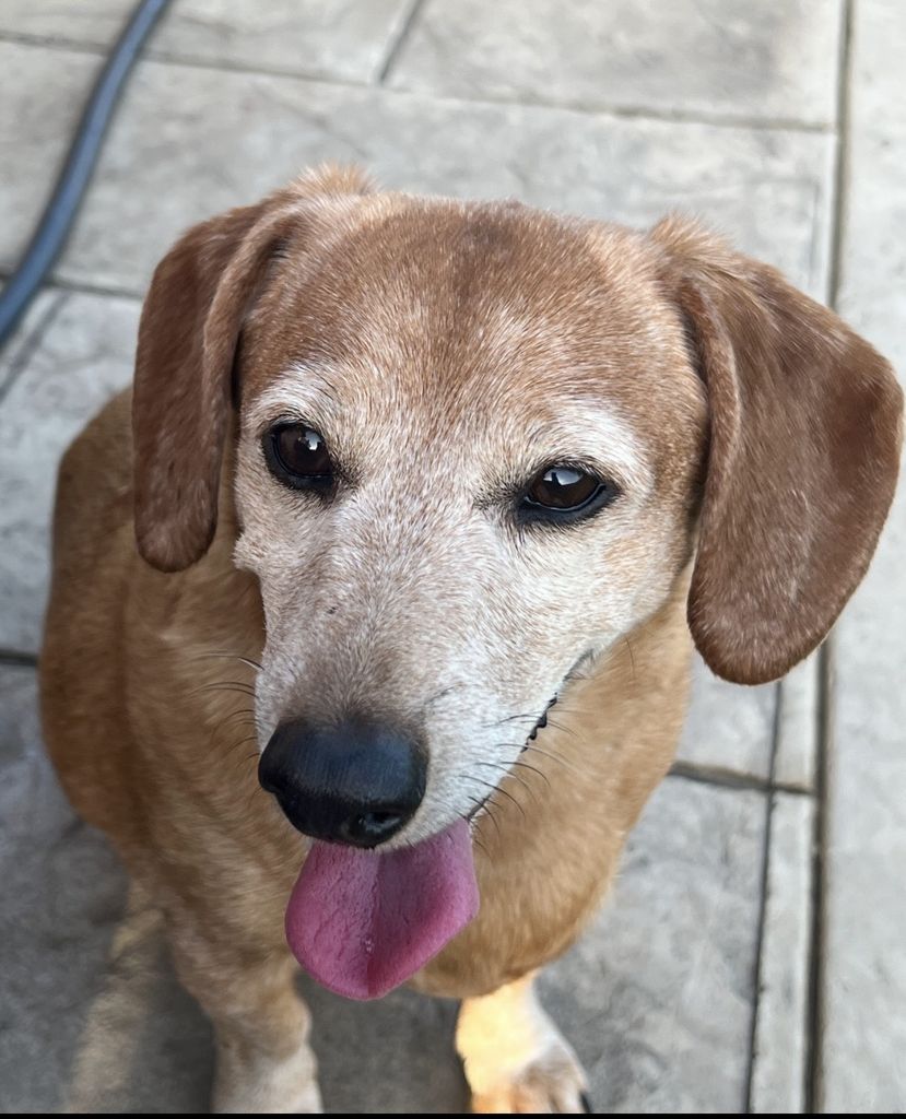 Burney Profile Photo