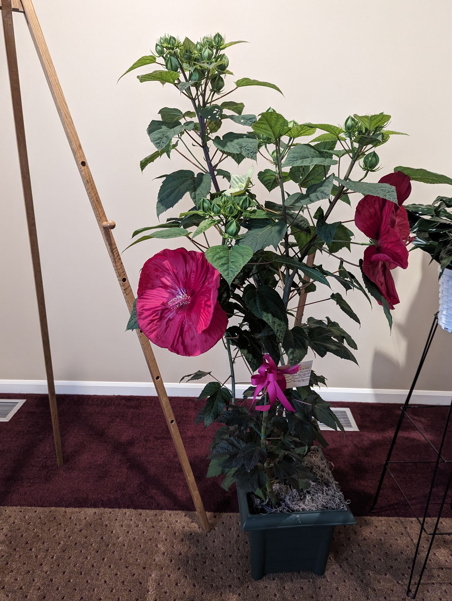 Leonard Wells photo 18 of 18