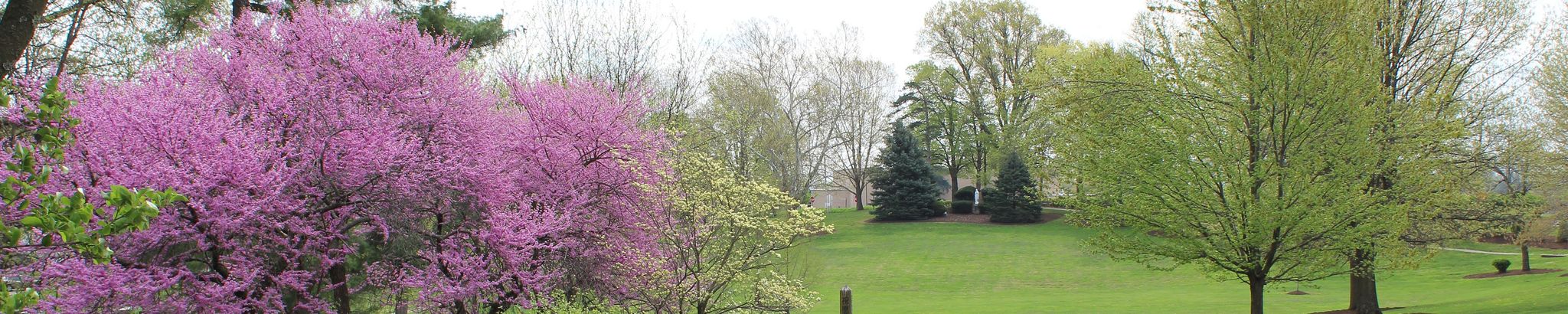 Cover for Sister Mary Dugan, S.C.'s Obituary
