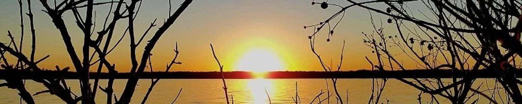 Cover photo for Alex Wade Whitt's Obituary