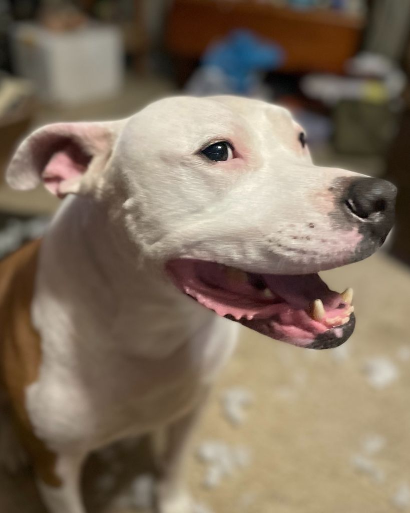 Ruger Hannah Profile Photo