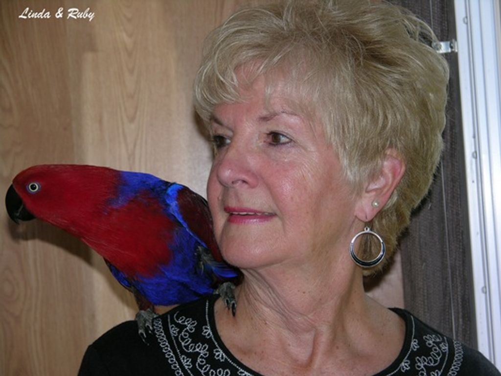 Linda Ann Melewski Profile Photo