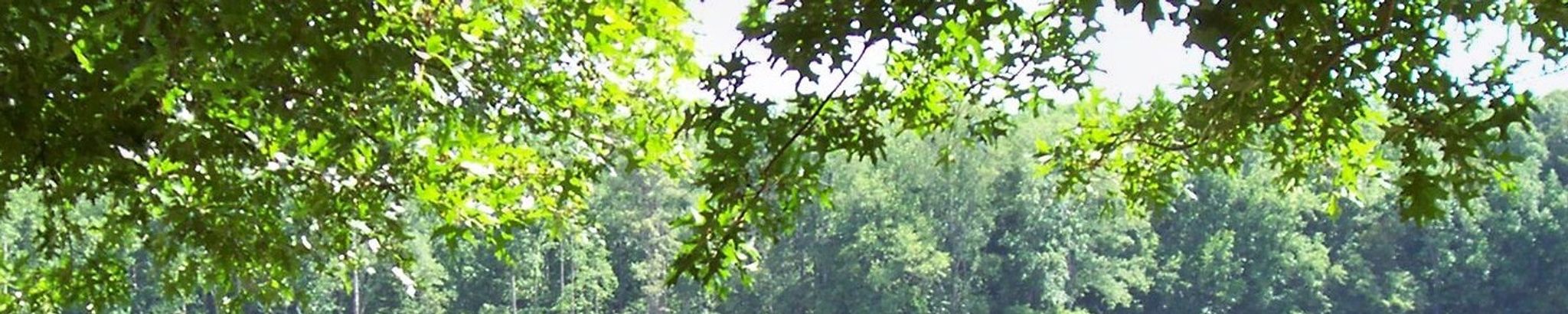 Cover for Keith McFadden's Obituary