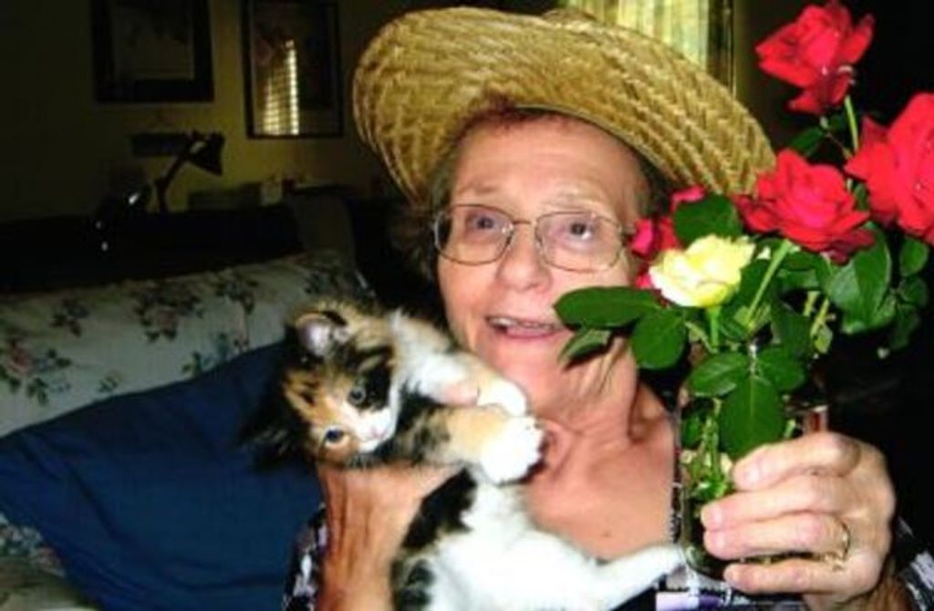 Corrine Susan Baumgartner Profile Photo