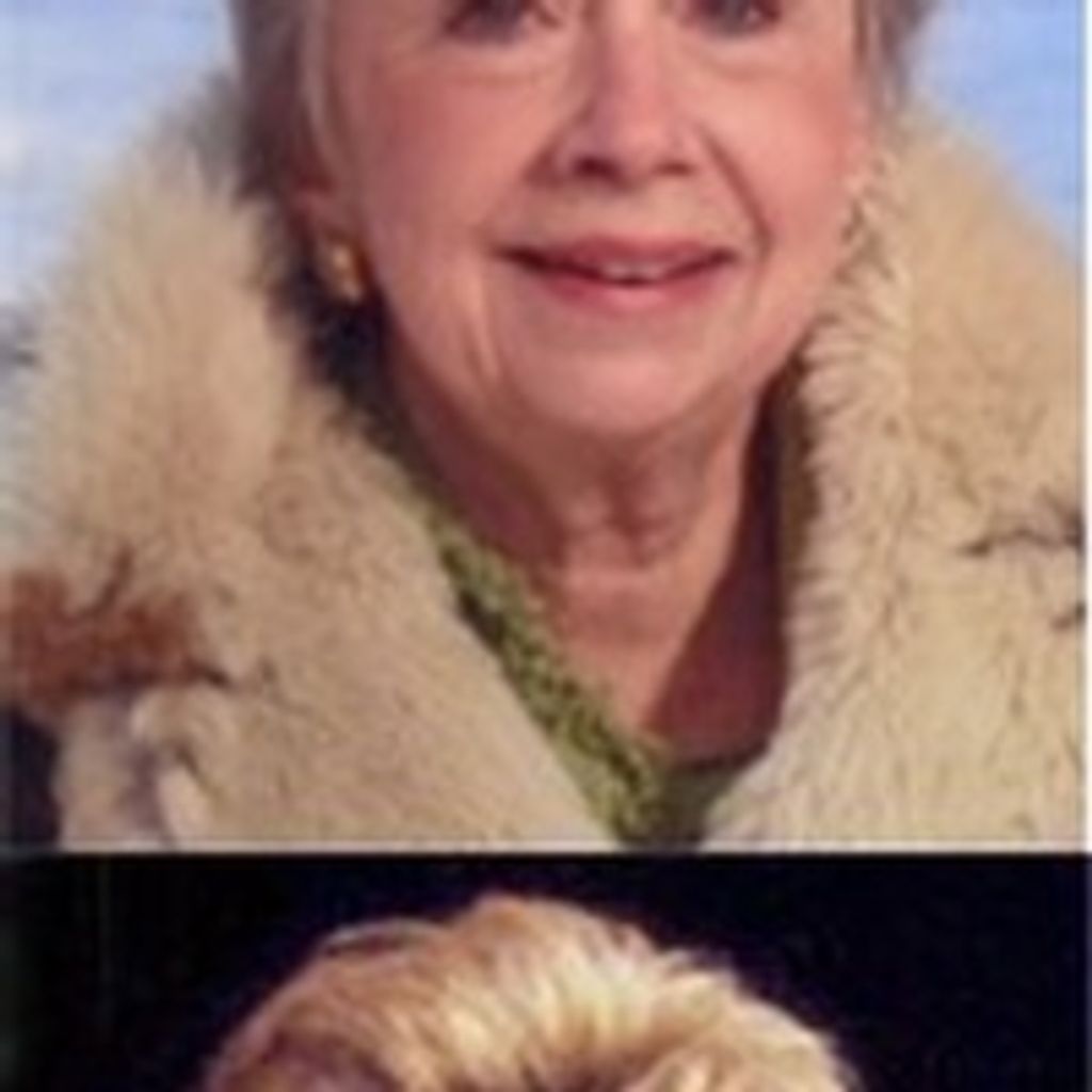 Judith  Meier Murphey