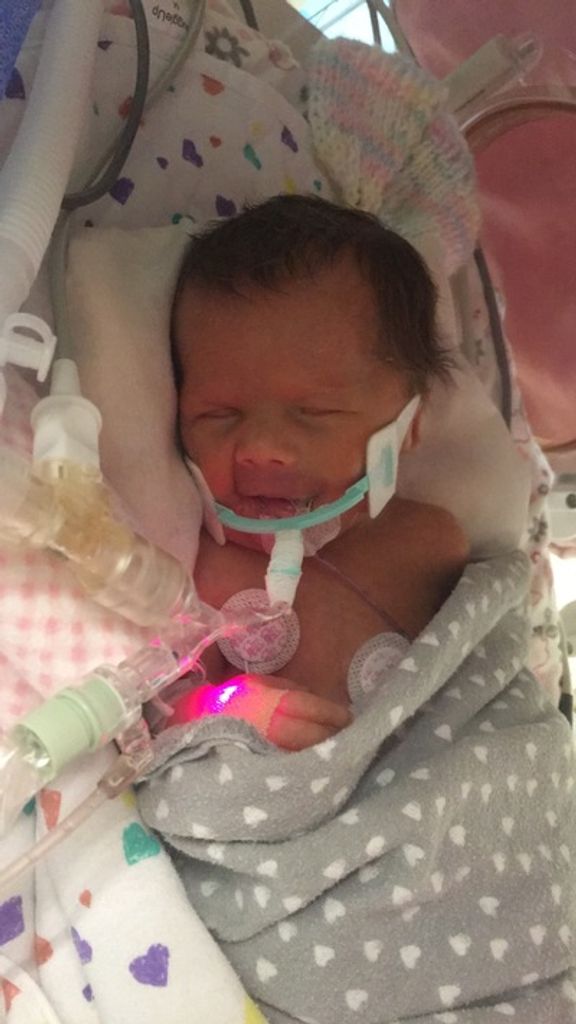 Mckenna Ann Mulkey Profile Photo