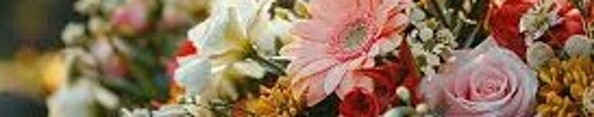 Cover photo for Dianne Daniel's Obituary