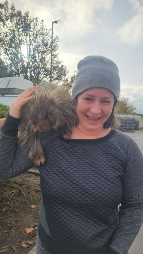 Sarah Jean Horton Profile Photo