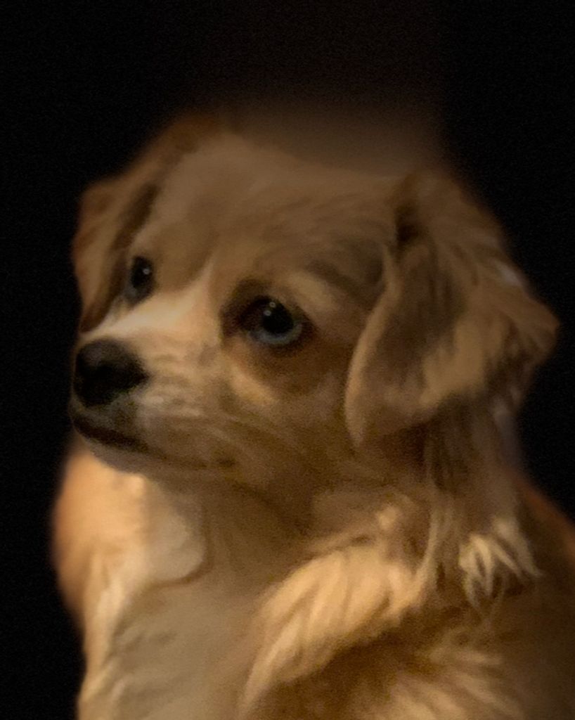 Gigi Hadid Profile Photo