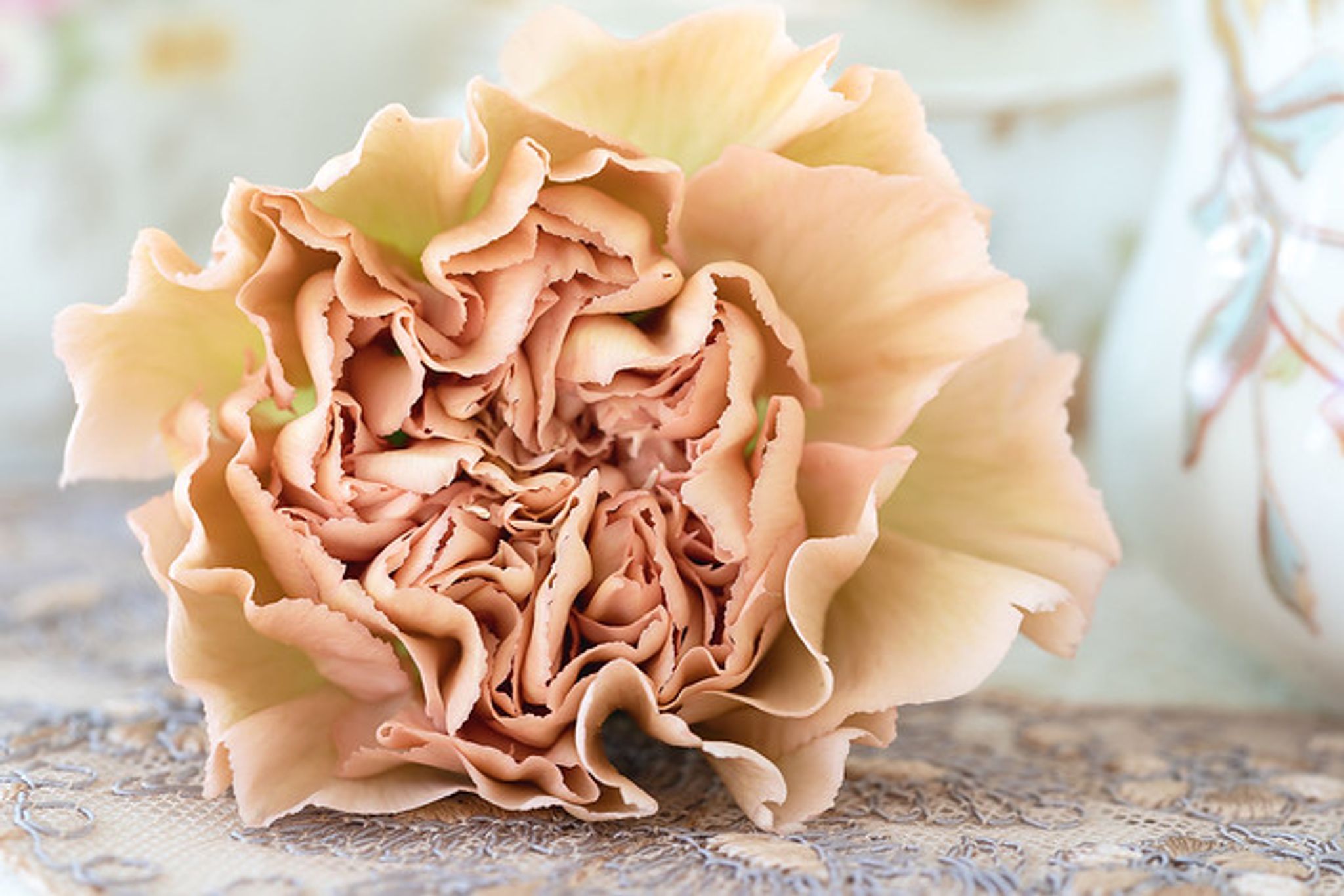 Cover for Freda Pullen Stacy's Obituary