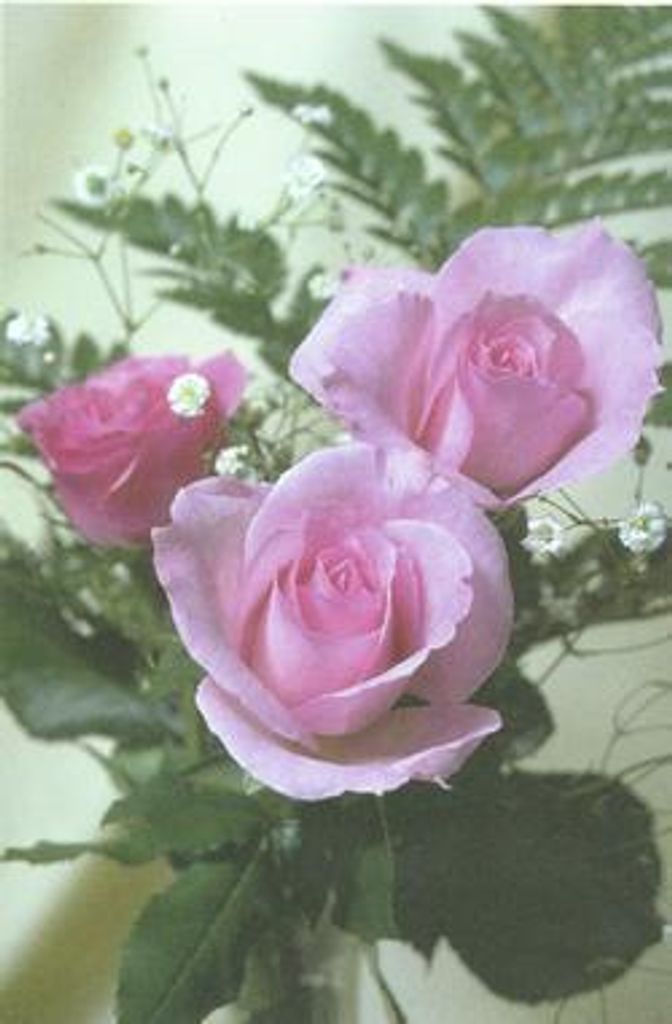 Darlene Lavon Bratten Profile Photo