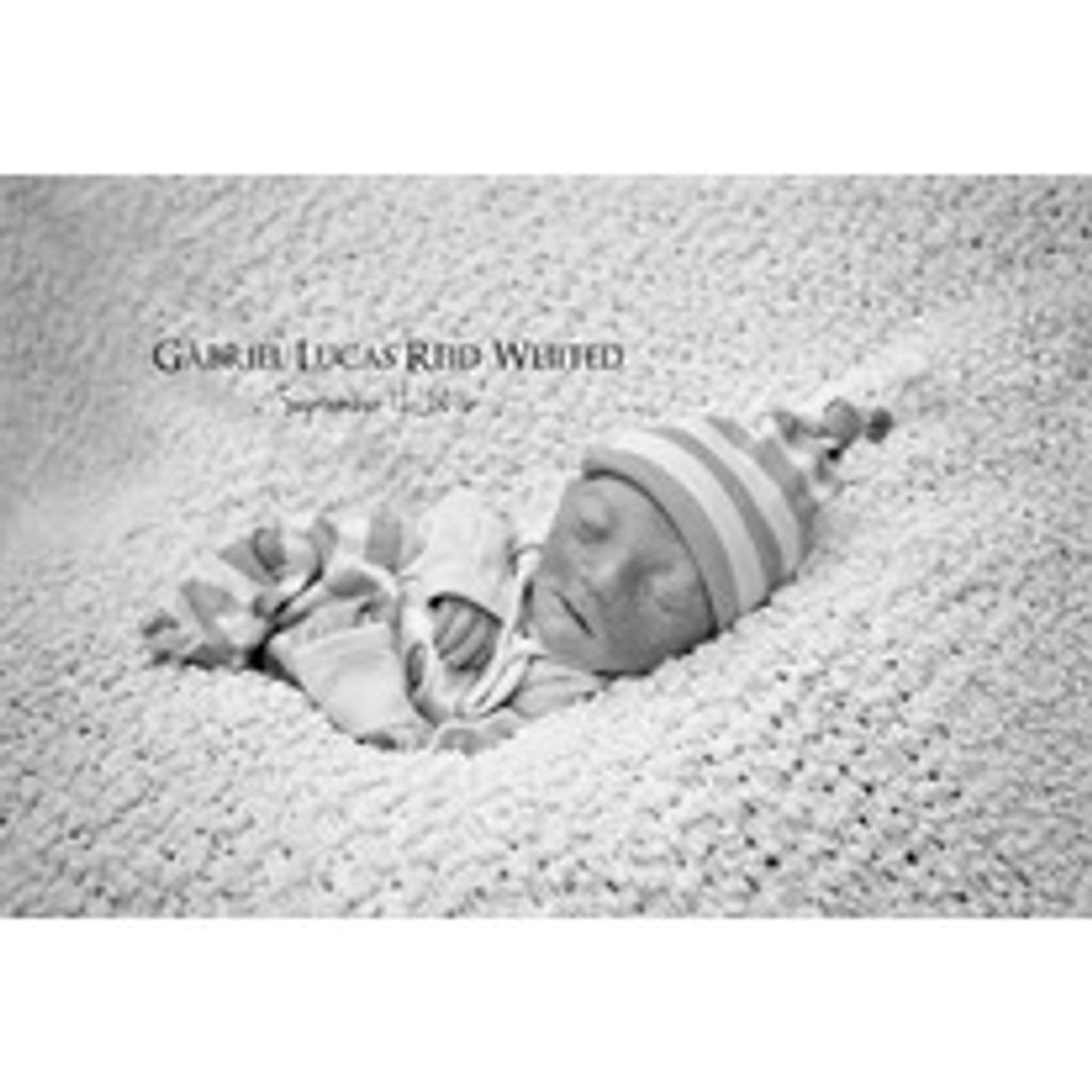Gabriel Lucas Reid Whited Profile Photo