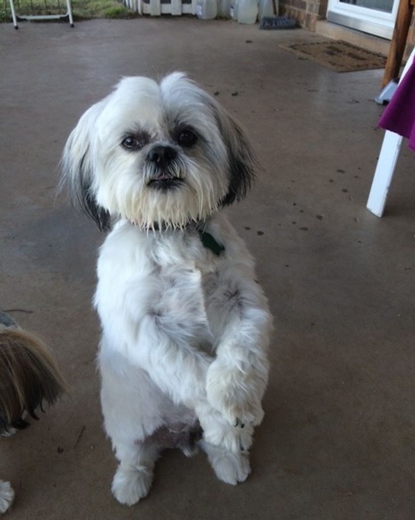 Samual Rohn Profile Photo