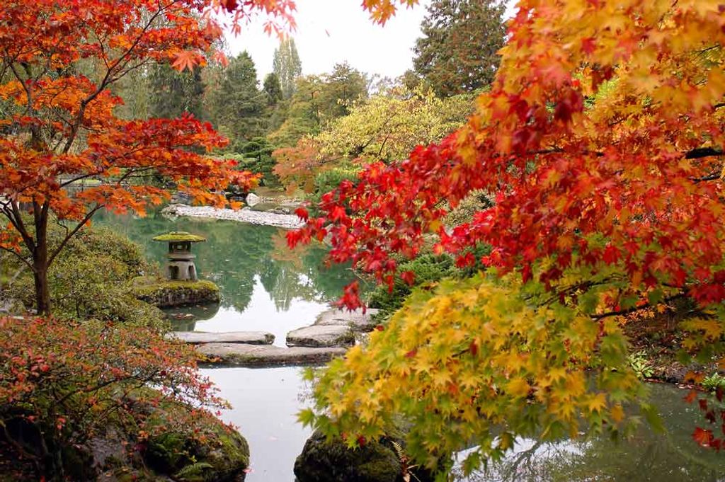 Louanna Phillips Turner Profile Photo