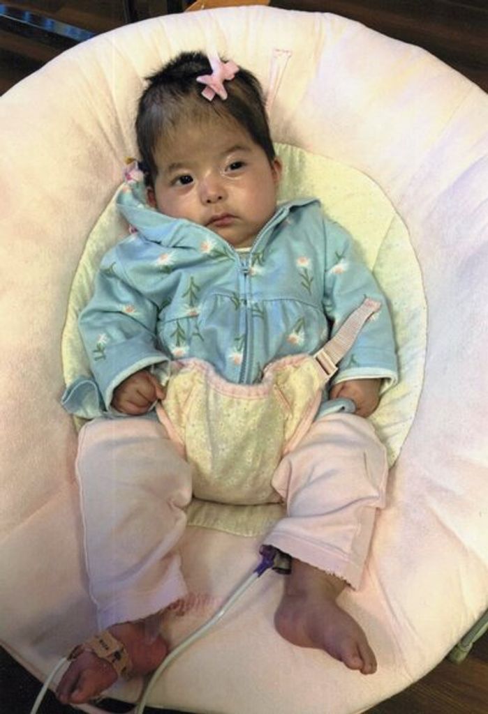 Azura Rose Bobtail Bear