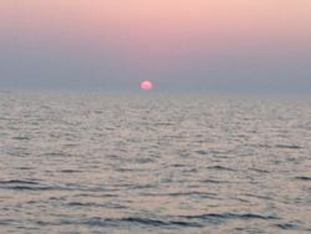 Antonette "Toni" Freund