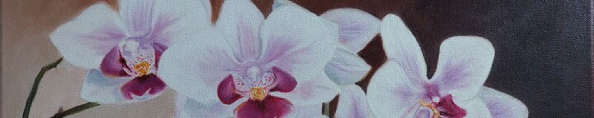 Cover photo for Saundra Moore Wood's Obituary