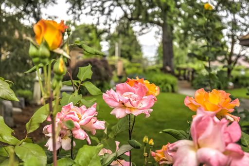 Joseph William Storer Profile Photo