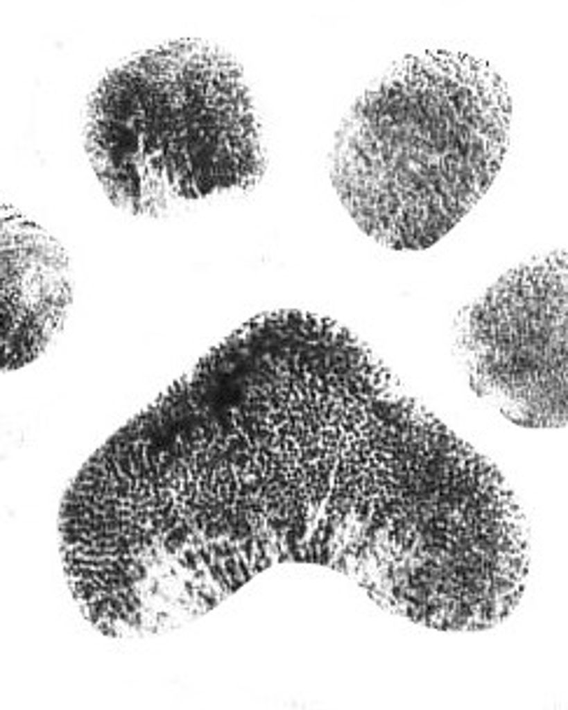 Bentley Holder Profile Photo