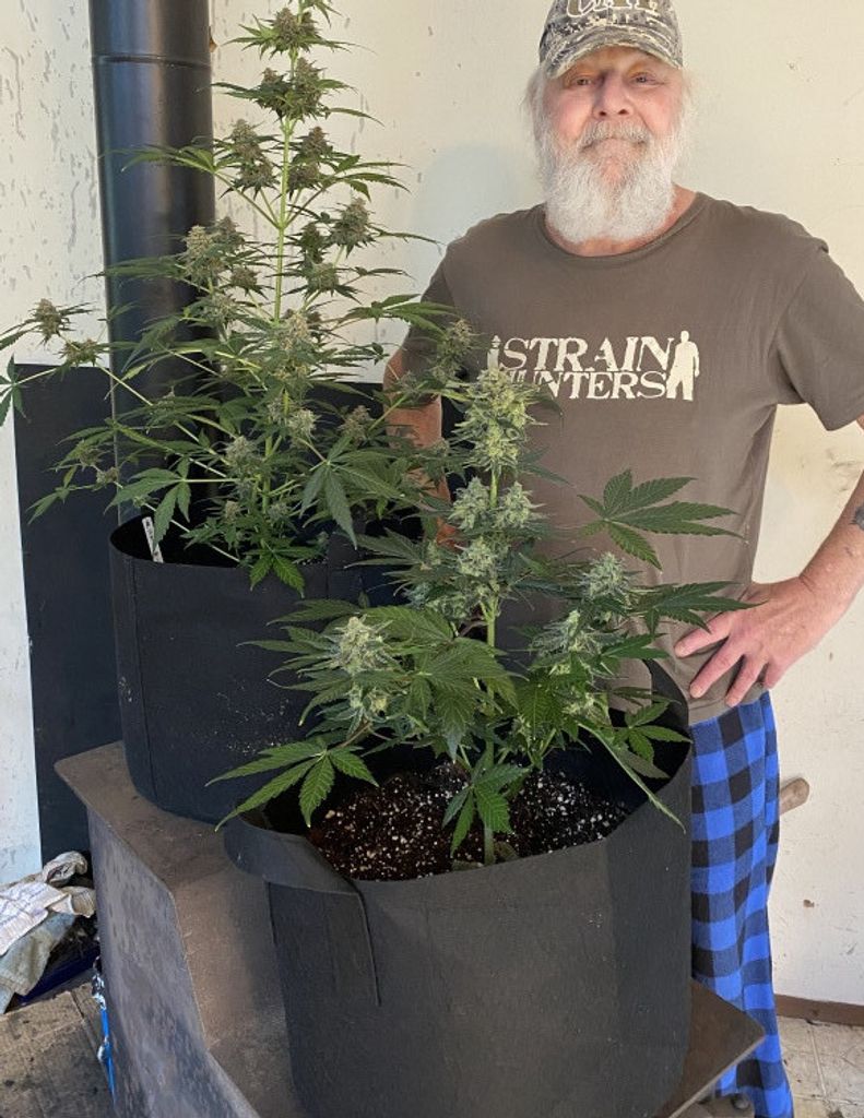 Collin Earl Bording Profile Photo