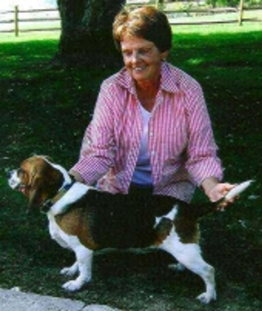 M. Joyce Klamut