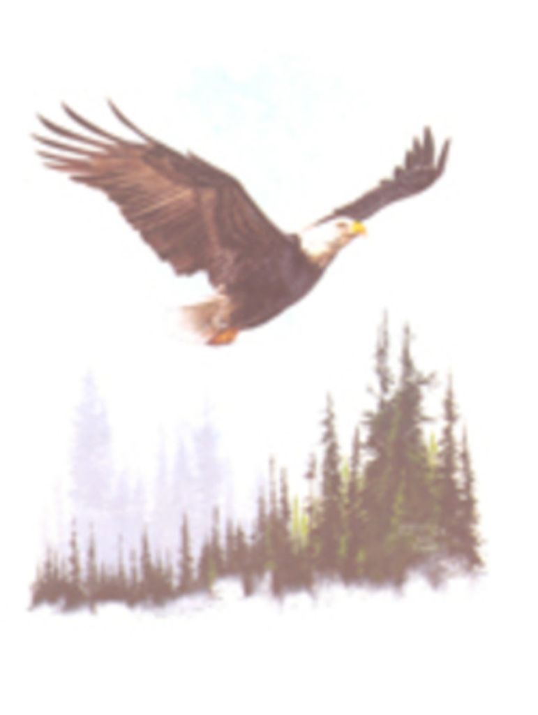 Geneieve Lamotte Profile Photo