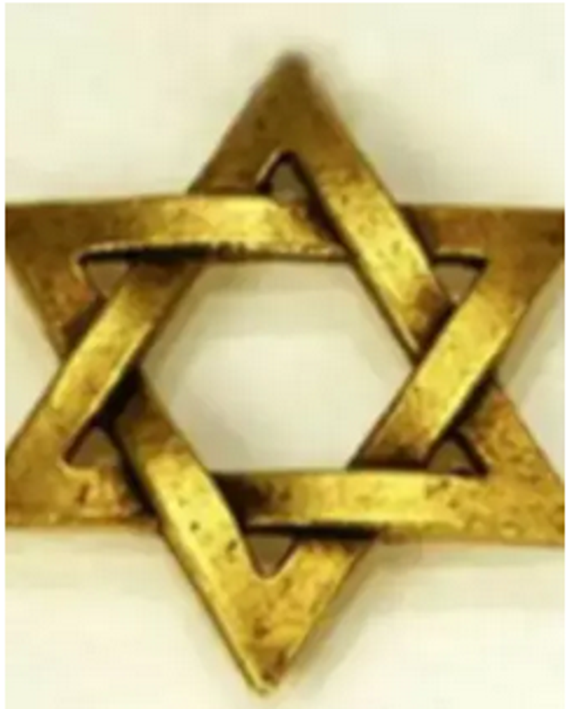 Dr. Theodore M. Bolotin Profile Photo