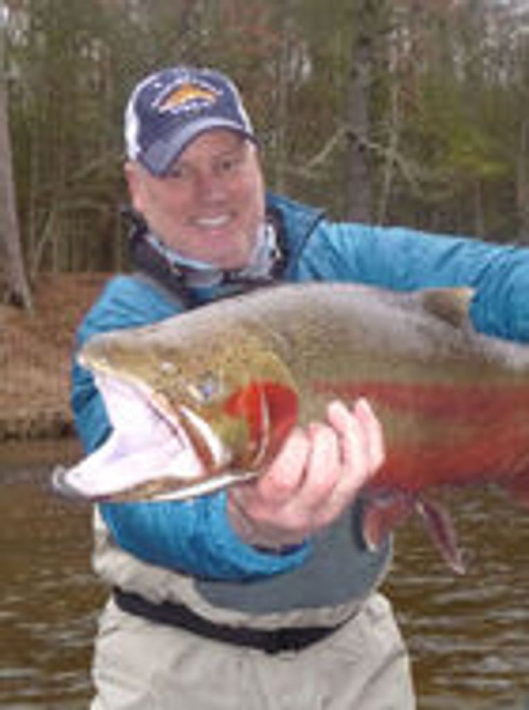 Jeffrey Sauer Profile Photo
