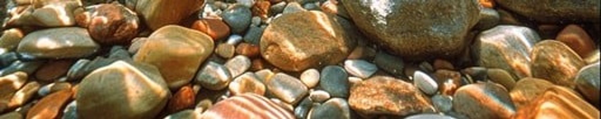 Cover photo for Rubie Francine Izad's Obituary