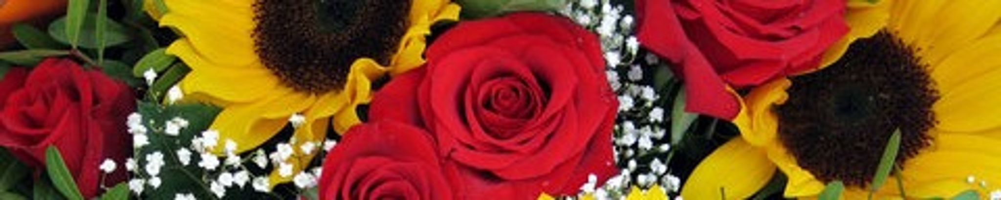 Cover photo for Angelica Sauceda Cervantes's Obituary