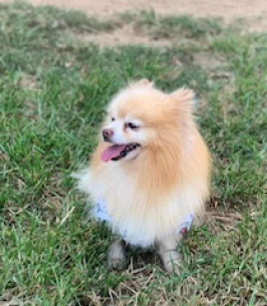 Simba Anderson