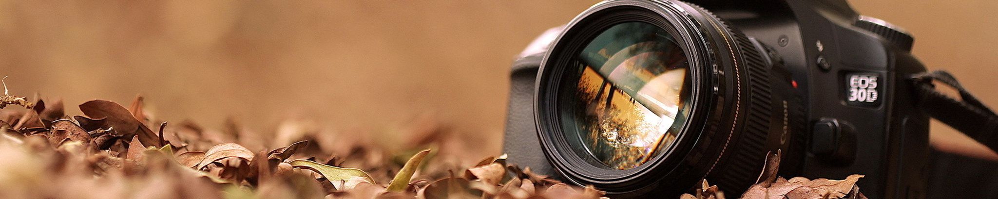 Cover for Bruce Bourgeois's Obituary