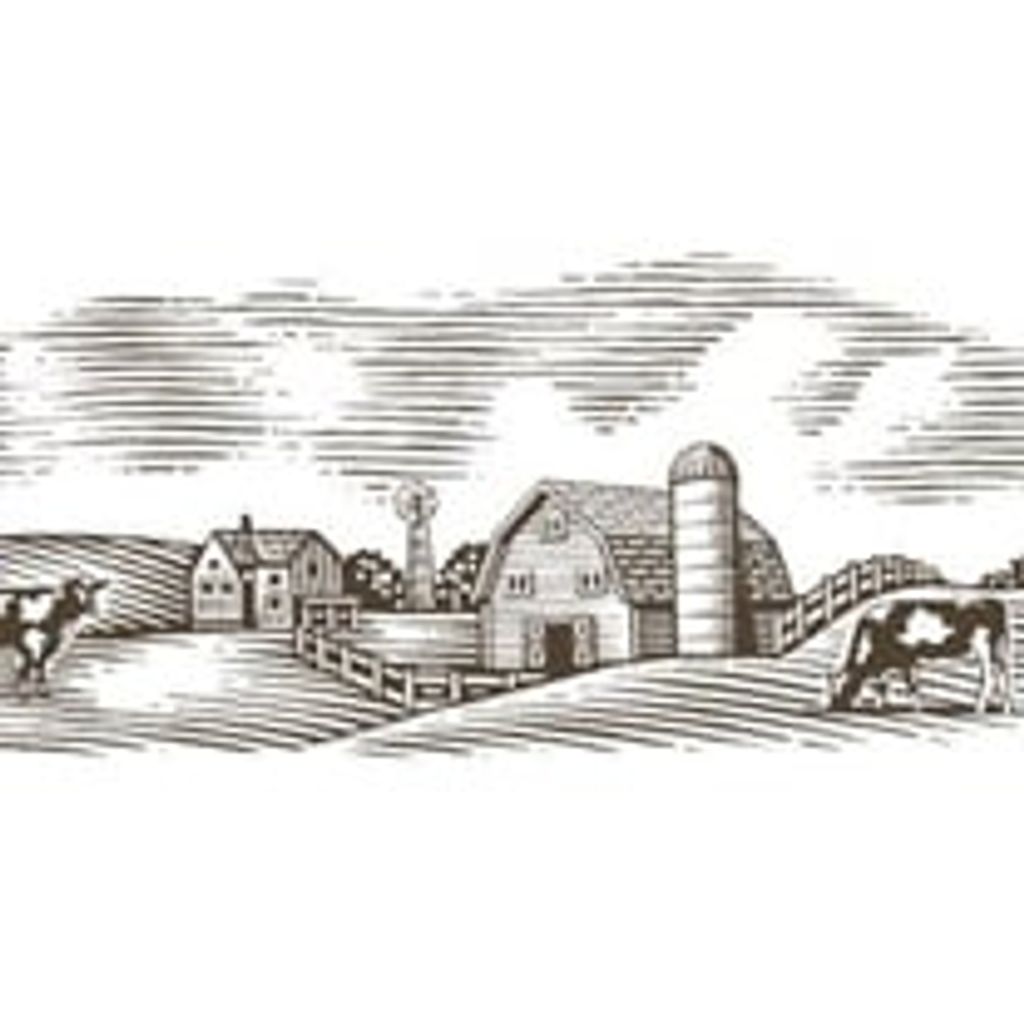 John W. Mills