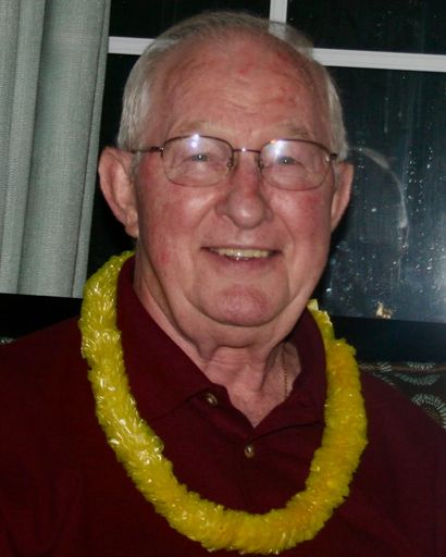 Patrick J. McGinley's obituary image
