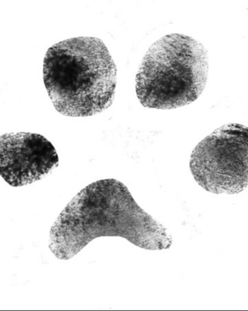 Aaron Epperson Profile Photo