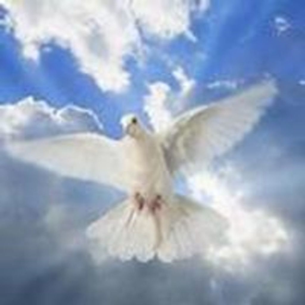 Cynthia Blanche Maxwell