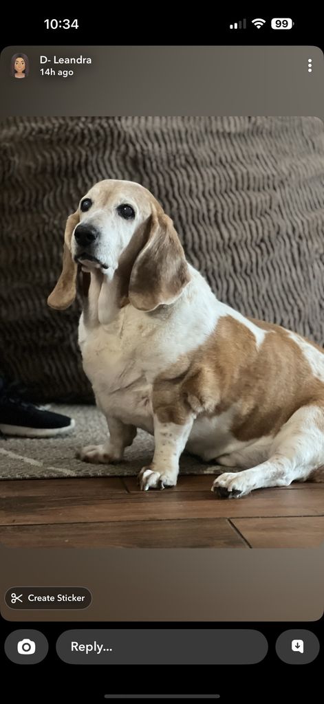 Copper Joe Profile Photo