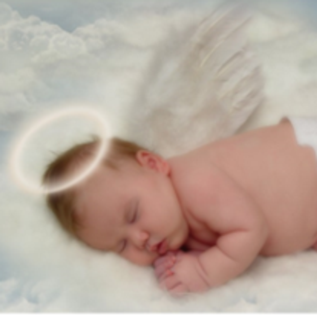 Nathan Gabriel Ladd Profile Photo