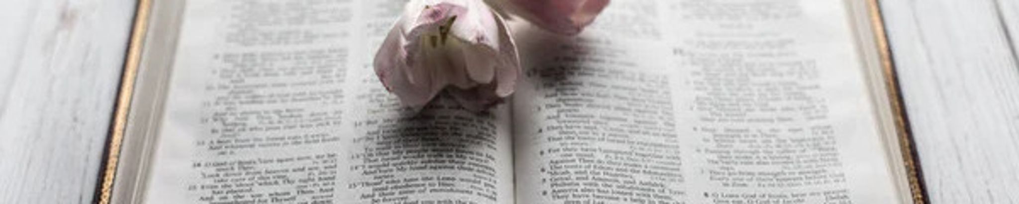 Cover photo for Iris Ballard's Obituary