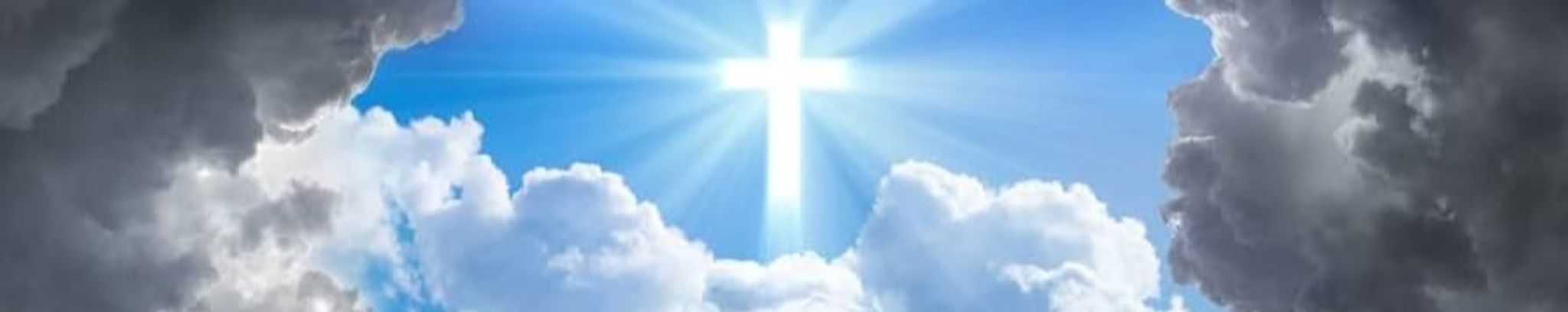Cover photo for Neda Skoric's Obituary