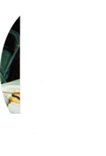 Daniel Corrado Profile Photo