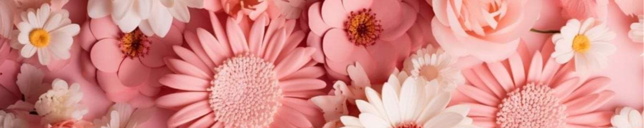 Cover photo for Miriam J Velazquez's Obituary