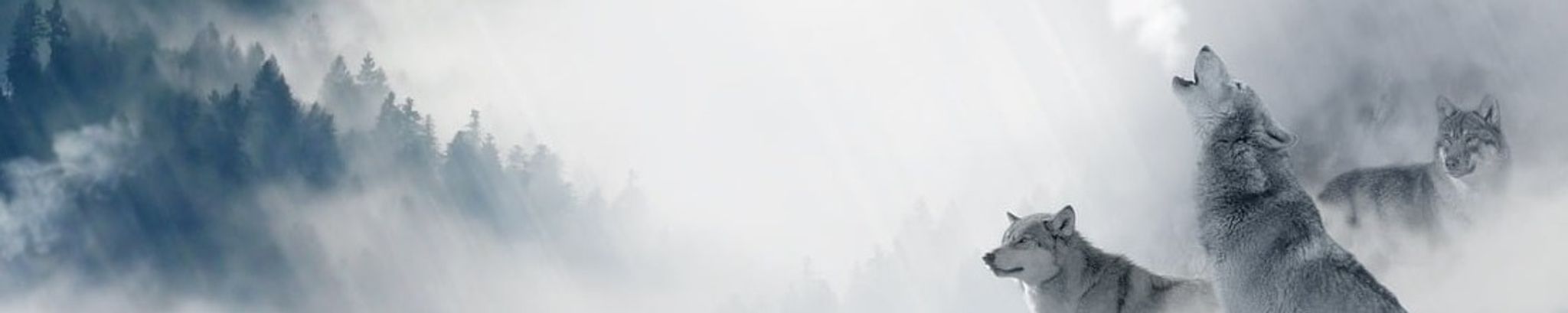 Cover photo for Kevin G. Clark Sr.'s Obituary
