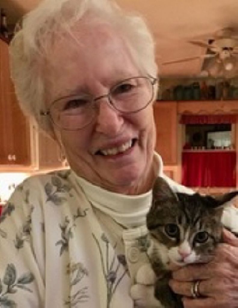 Ann Kierulff Lorge Profile Photo