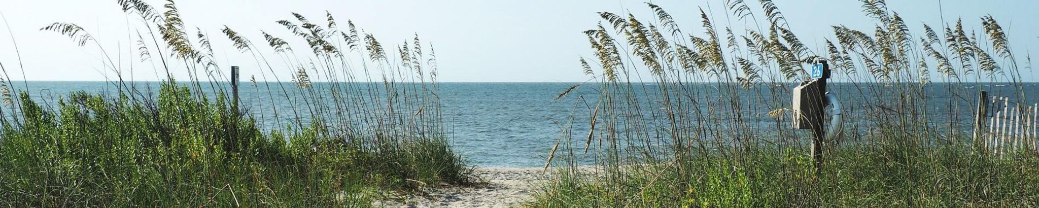 Cover for Brenda Lynn Williams's Obituary